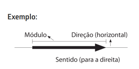 Exemplo de grandeza vetorial (Imagem: Tao Consult)