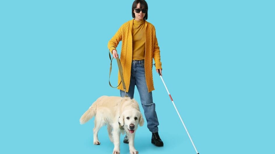 Cão-guia oferece autonomia às pessoas com deficiência visual (Imagem: Pixel-Shot | Shutterstock)