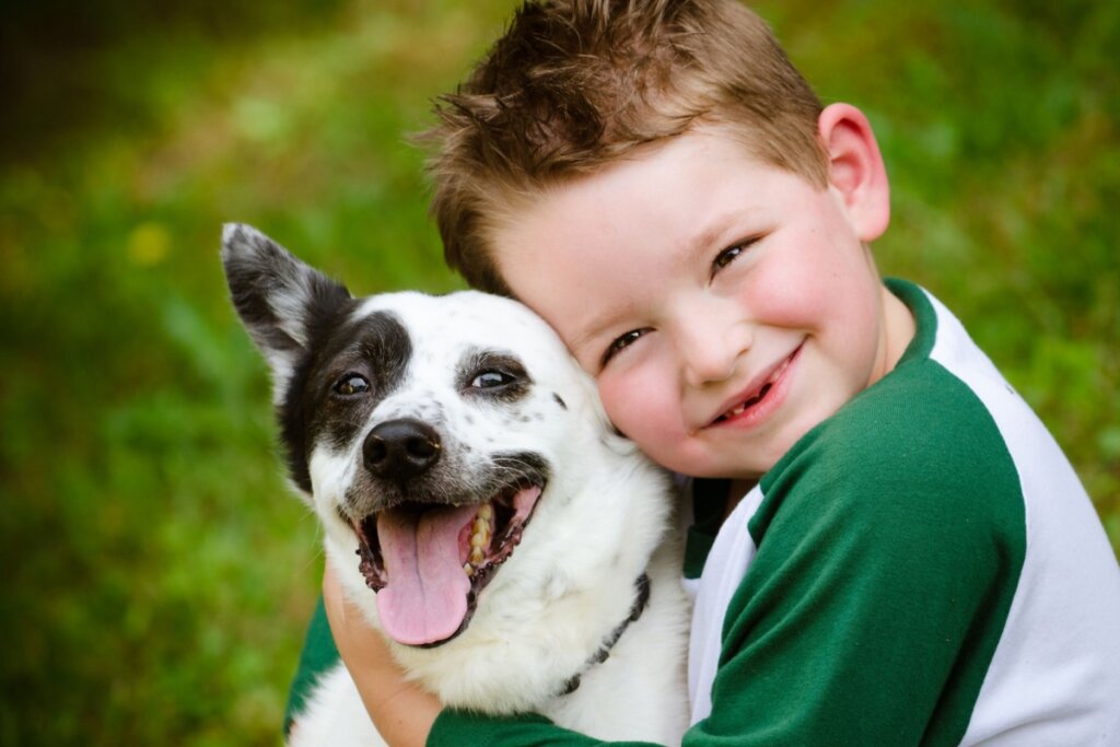 A interação com pets ajuda a melhorar o humor e a paciência de crianças hospitalizadas (Imagem: Rob Hainer | Shutterstock)