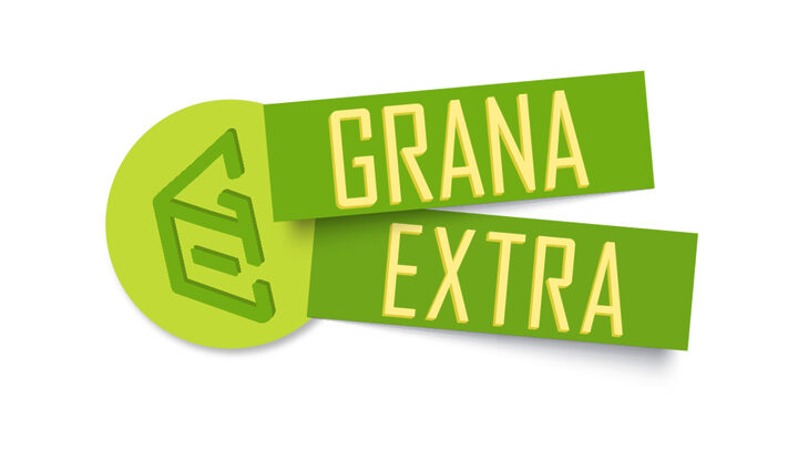 A série especial “Grana Extra” estreia no Bom Dia Santa Catarina nesta terça-feira (9) (Crédito: Divulgação)
