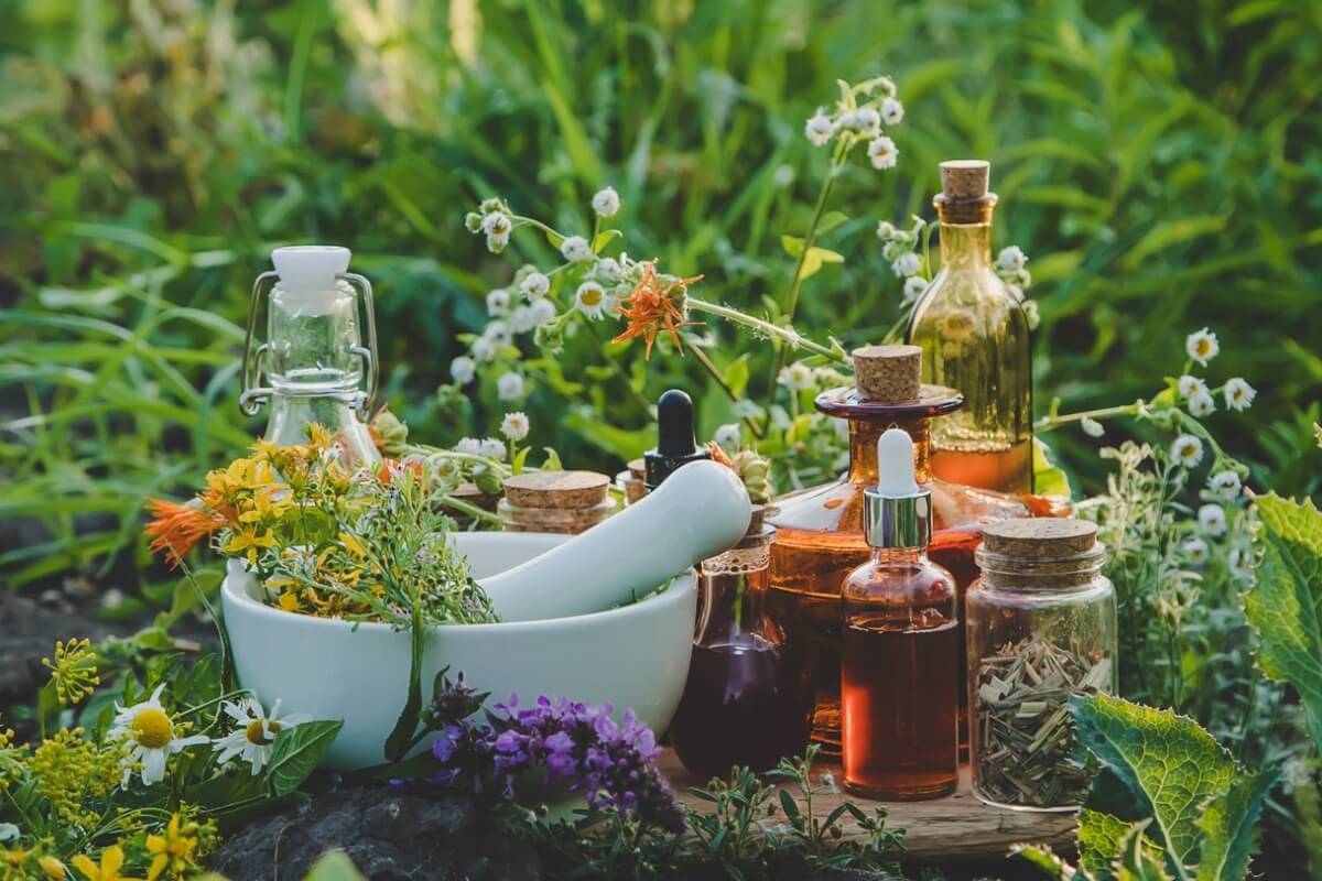 Estudos indicam que as ervas medicinais tem impacto positivo na saúde reprodutiva das mulheres (Imagem: Tatevosian Yana | Shutterstock)
