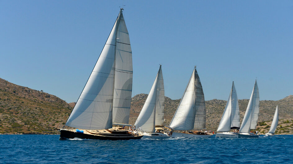 Vela