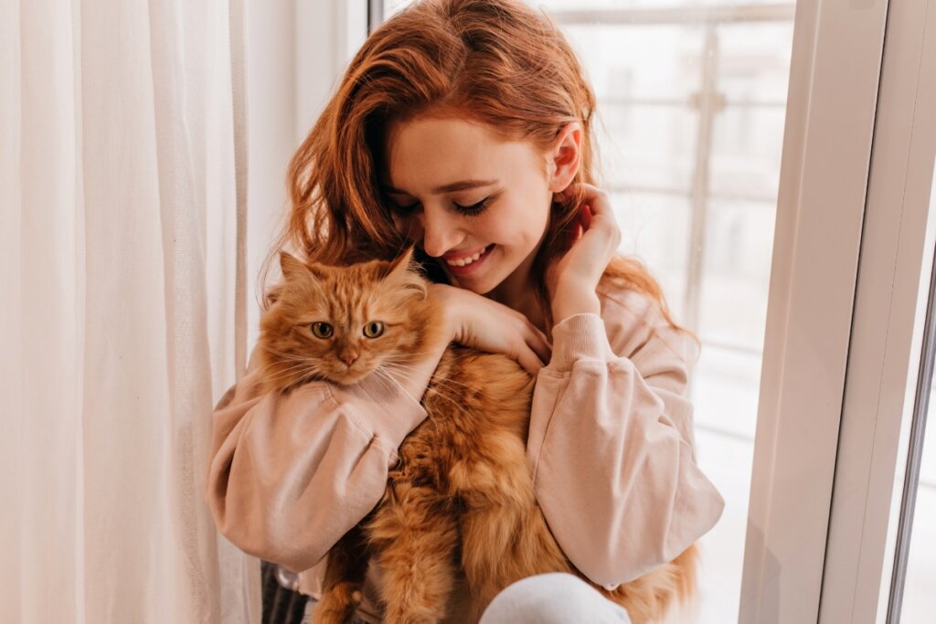 Existem diversas raças de gatos espalhadas pelo mundo (Imagem: lookstudio | Freepik)