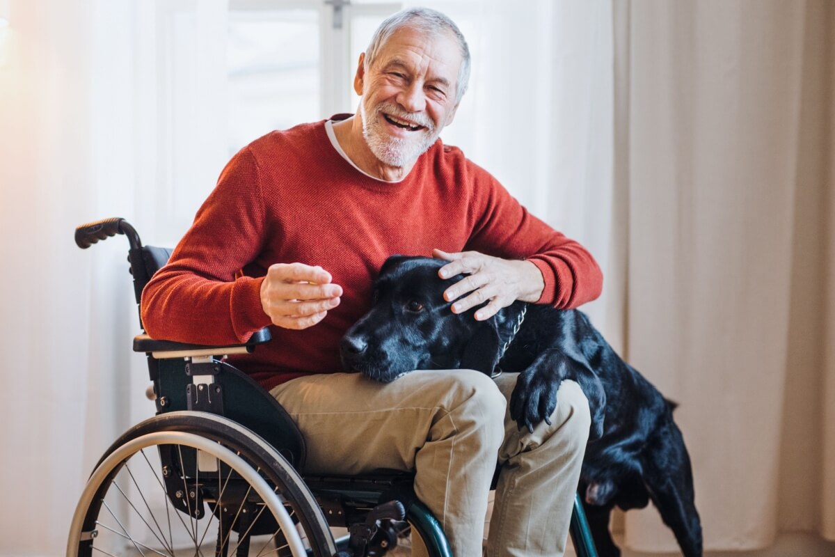 A interação com animais beneficia a recuperação de pacientes de todas as idades (Imagem: Ground Picture | Shutterstock)