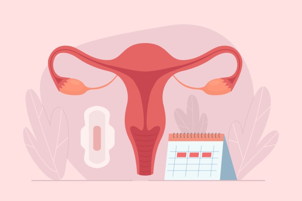 O tratamento para adenomiose &eacute; predominantemente cl&iacute;nico, envolvendo a supress&atilde;o da menstrua&ccedil;&atilde;o (Imagem: Nazarkru | Shutterstock)