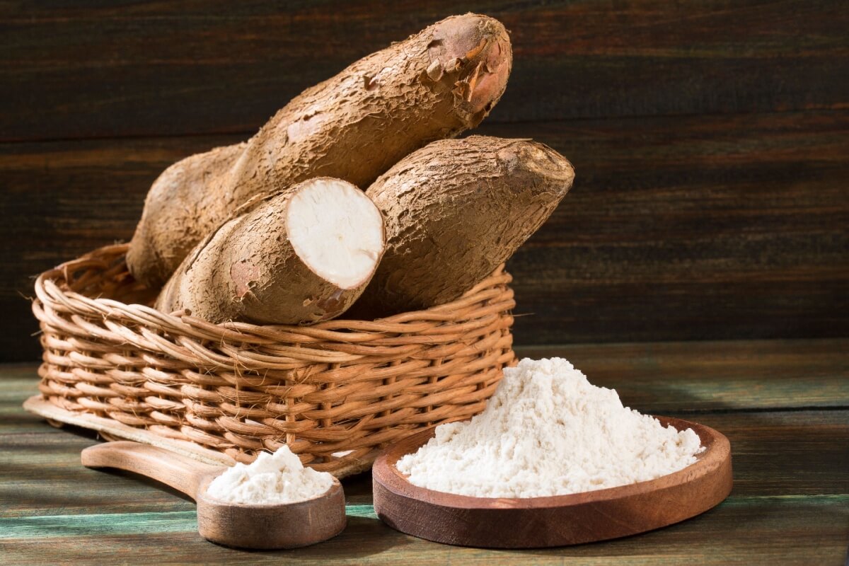 A mandioca é um elemento-chave na culinária indígena de alguns povos no Brasil (Imagem: Luis Echeverri Urrea | Shutterstock)