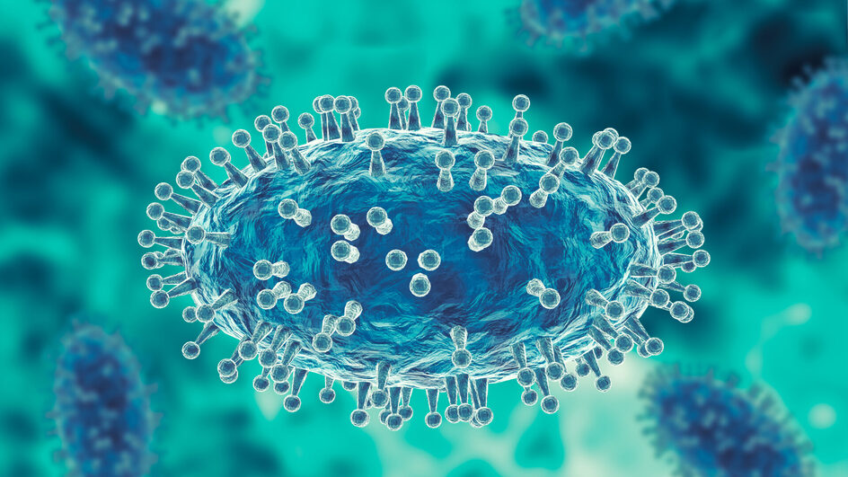 Mpox nova cepa que circula na República do Congo tem potencial pandêmico