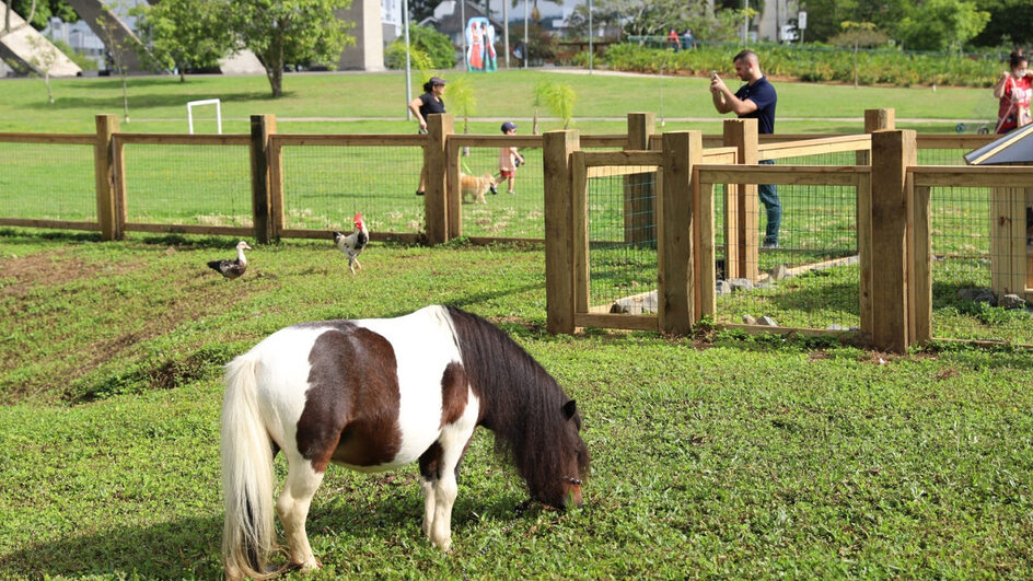 Parque de Criciúma (Foto: Letícia Cardoso, Prefeitura de Criciúma)