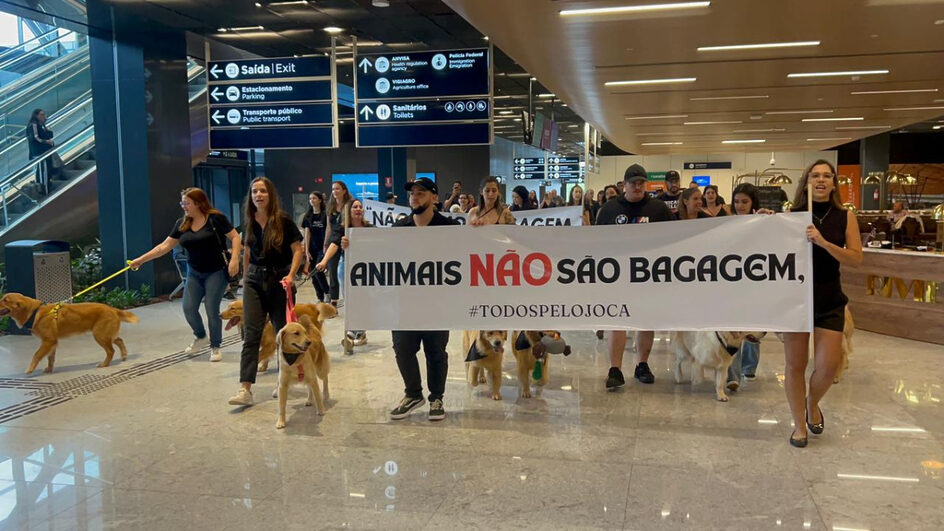 Protesto #todospelojoca pede justiça e reúne dezenas de cães no Aeroporto de Florianópolis