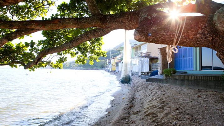 Liminar proíbe construção e novas licenças em área de preservação em Florianópolis