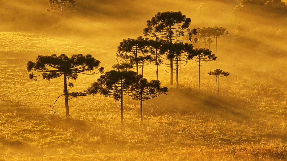 temperaturas caem drasticamente em SC