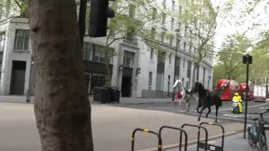 VÍDEO Cavalos descontrolados e cobertos de sangue fogem por ruas de Londres