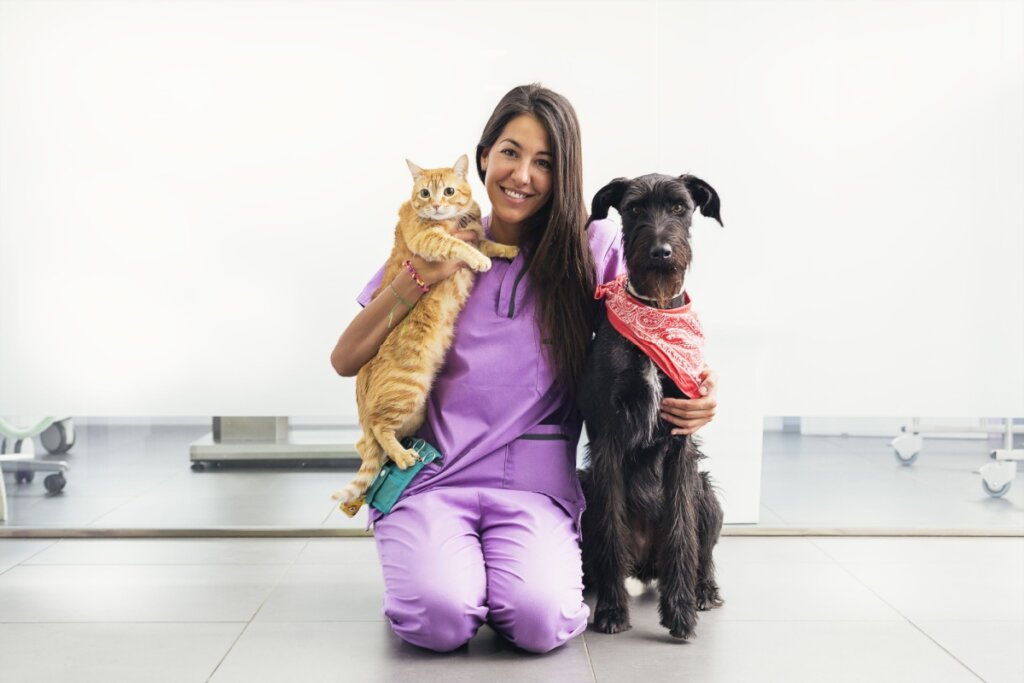 A castra&ccedil;&atilde;o ajuda a controlar a superpopula&ccedil;&atilde;o de c&atilde;es e gatos (Imagem: santypan | Shutterstock)