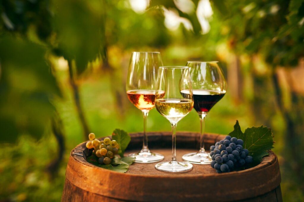 A diversidade das uvas desempenha um papel fundamental na composição e no caráter do vinho (Imagem: Rostislav_Sedlacek | Shutterstock)