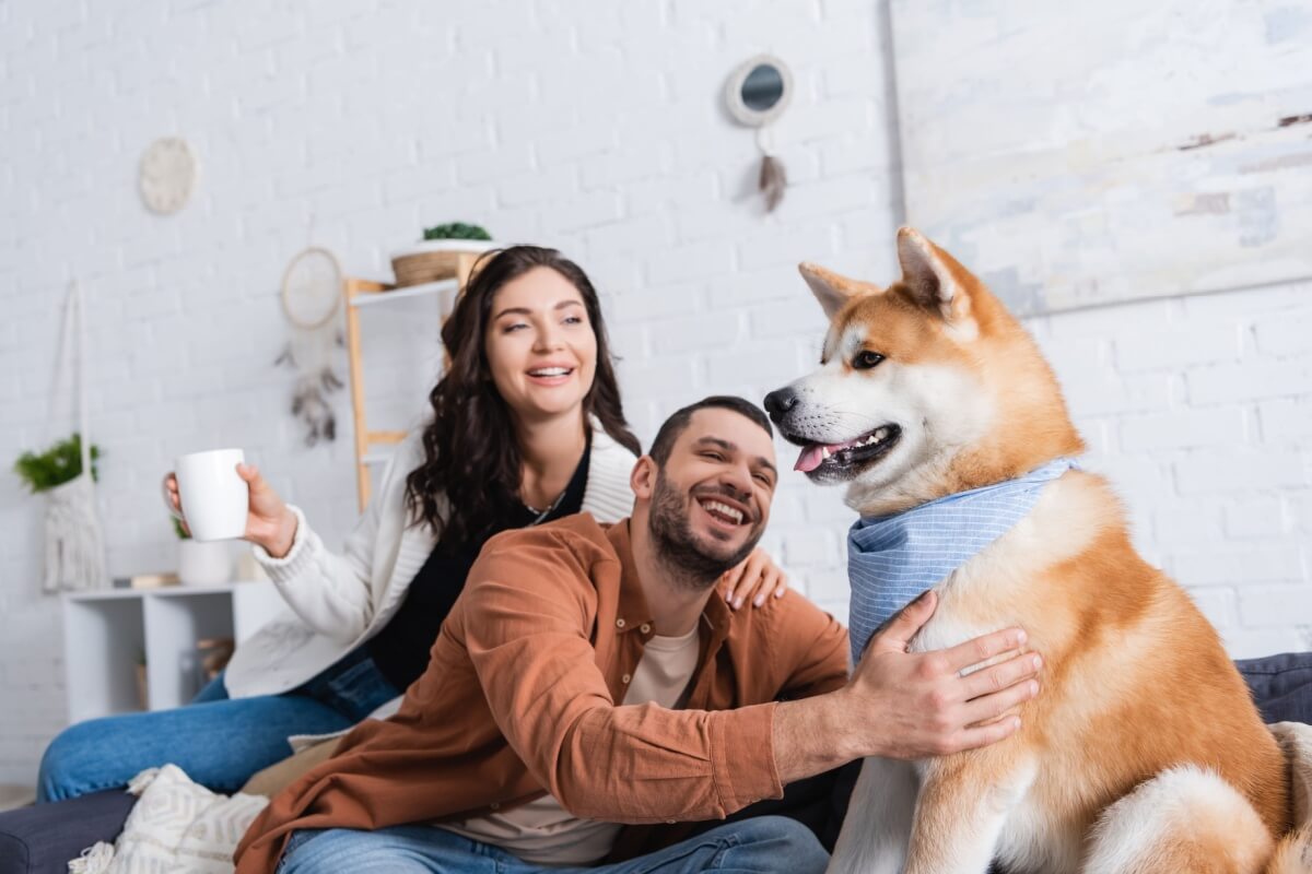 Alguns cuidados com os cachorros são importantes para evitar acidentes (Imagem: LightField Studios | Shutterstock)