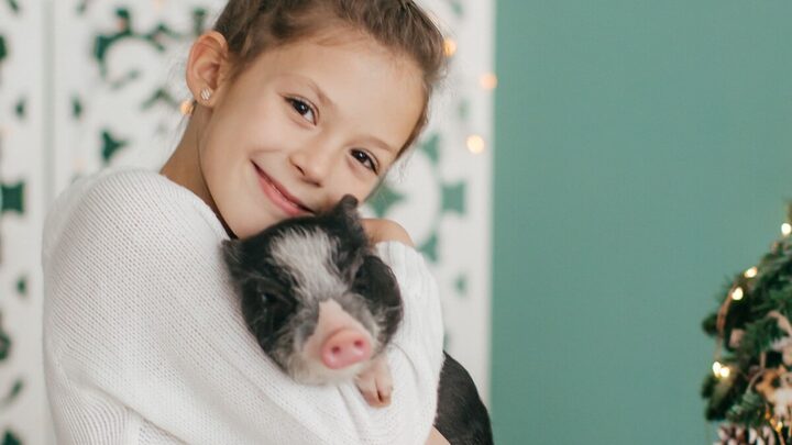 Animais de estimação exóticos estão conquistando o coração das pessoas (Imagem: Forewer | Shutterstock)