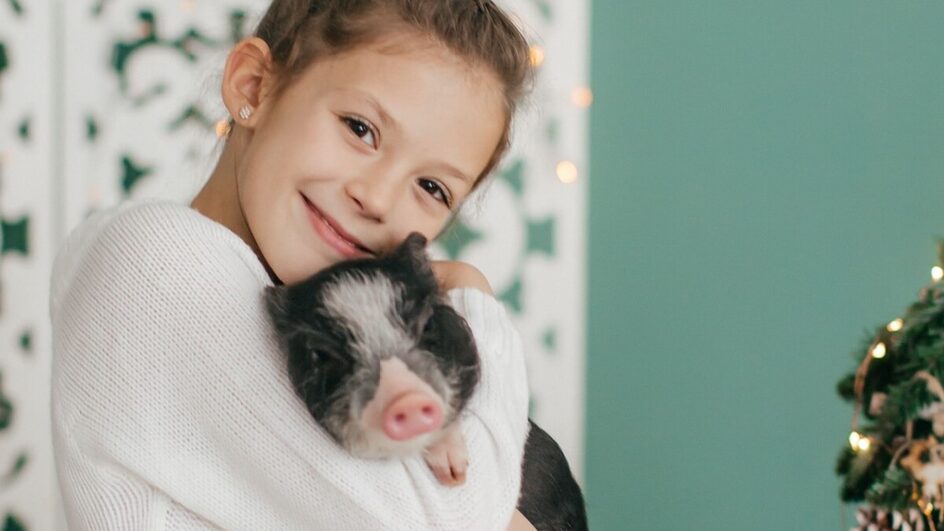 Animais de estimação exóticos estão conquistando o coração das pessoas (Imagem: Forewer | Shutterstock)
