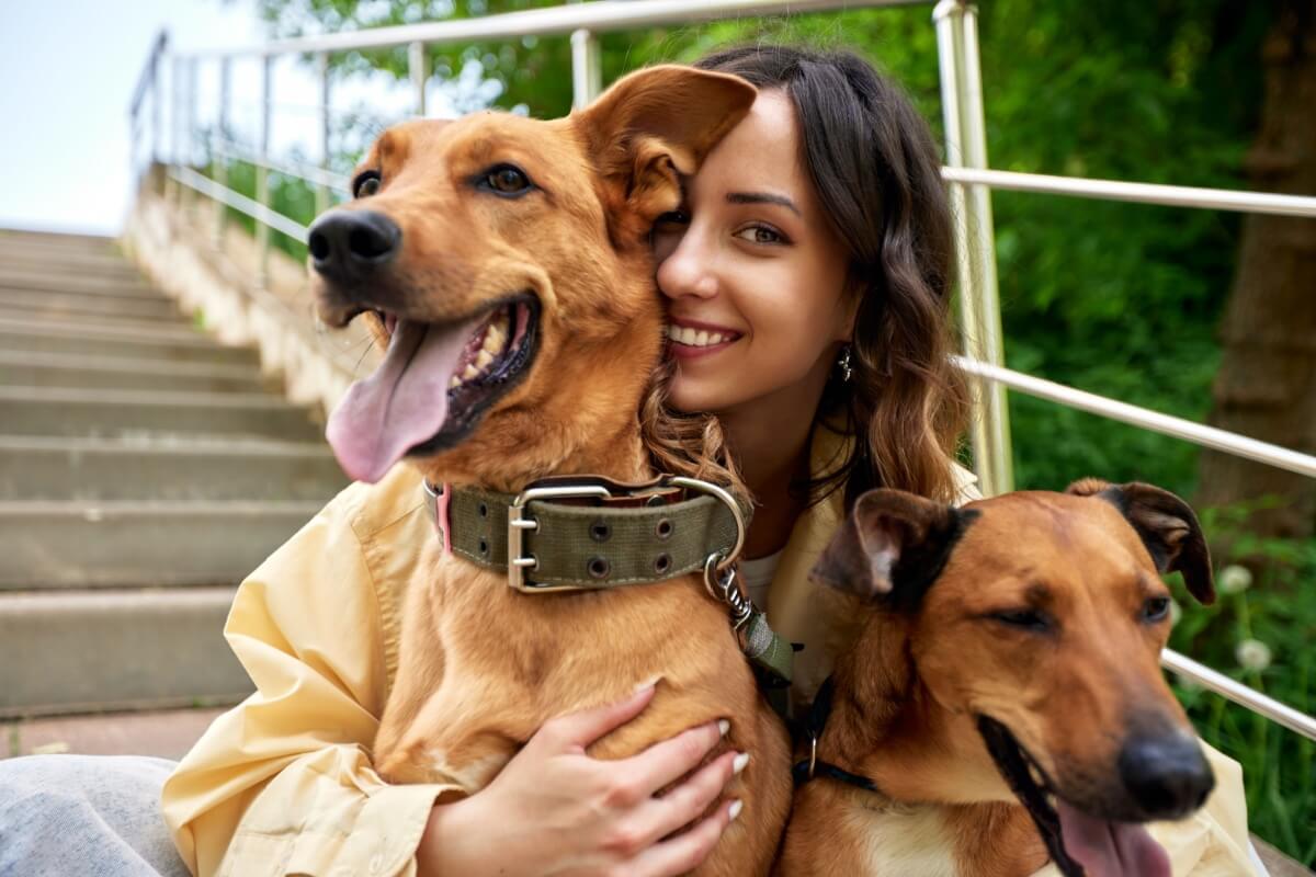 Alguns cuidados ajudam a evitar problemas oculares nos cachorros durante o outono (Imagem: Gerain0812 | Shutterstock)