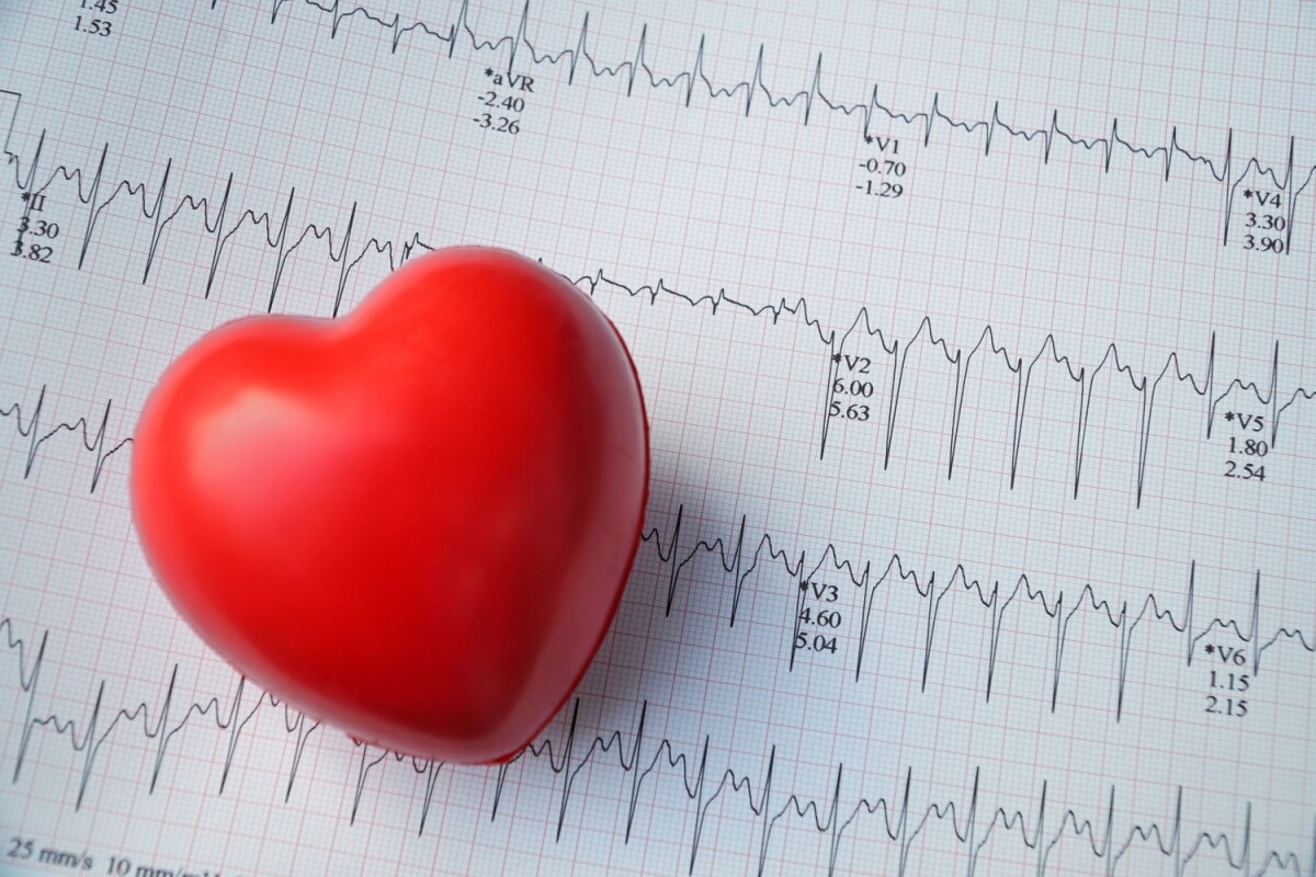Nosso coração é afetado pelo estilo de vida e requer atenção preventiva (Imagem: Poh Smith | Shutterstock)