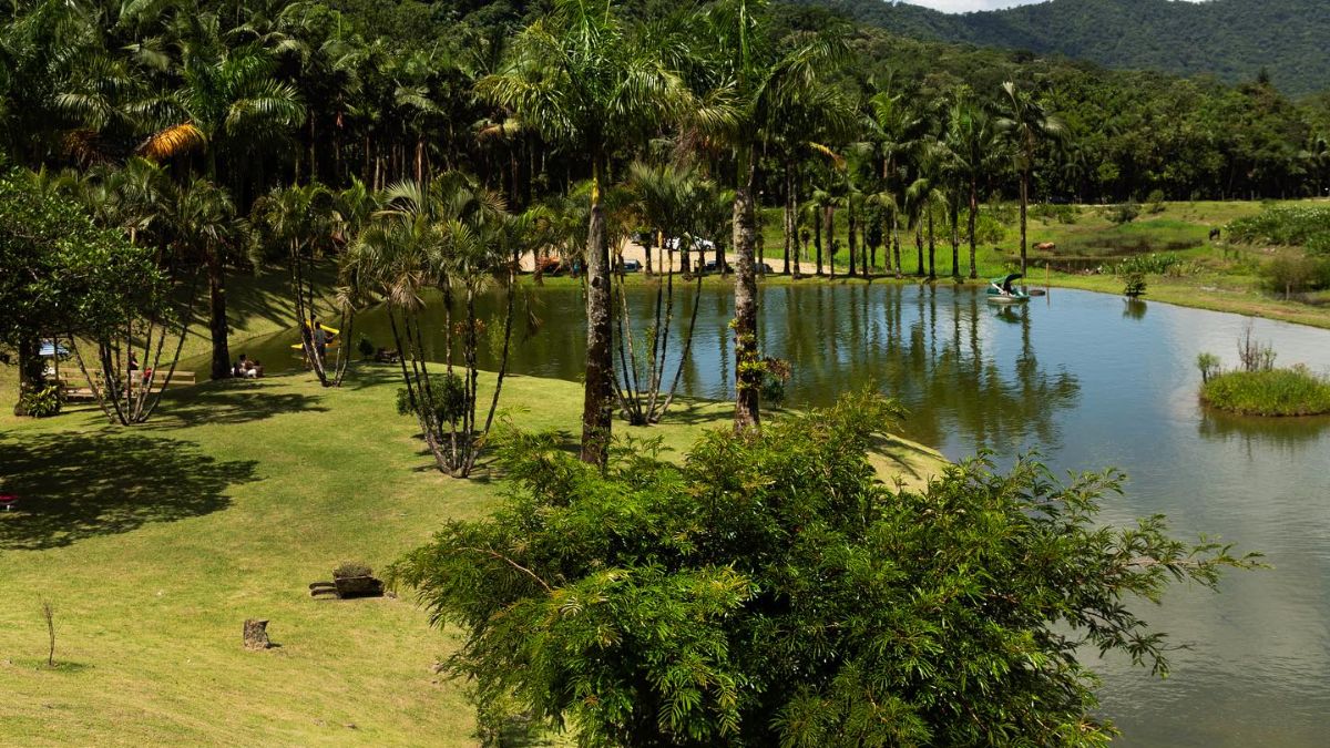 Qual o seu lugar preferido em Joinville; vote