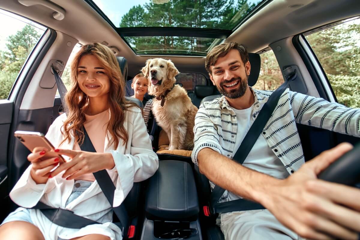 Viajar com o pet é uma ótima forma de criar memórias em família, mas são necessários cuidados (Imagem: ORION PRODUCTION | Shutterstock)