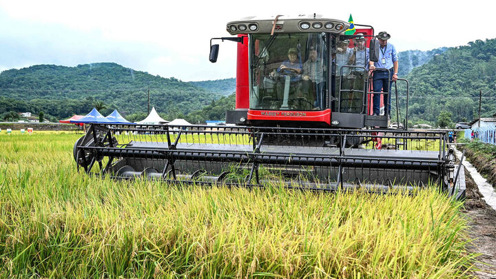 Chuva no RS traz efeitos no preço pago a produtores de arroz, soja e leite de SC