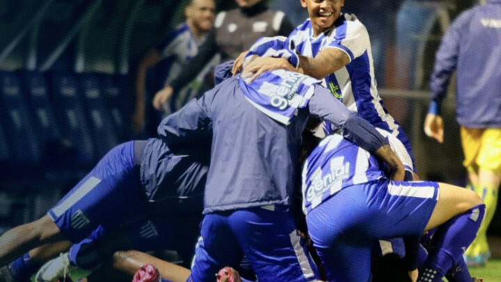 Avaí fez a quarta vitória seguida depois da chegada do técnico Gilmar Dal Pozzo (Foto: divulgação, X, Avaí FC)