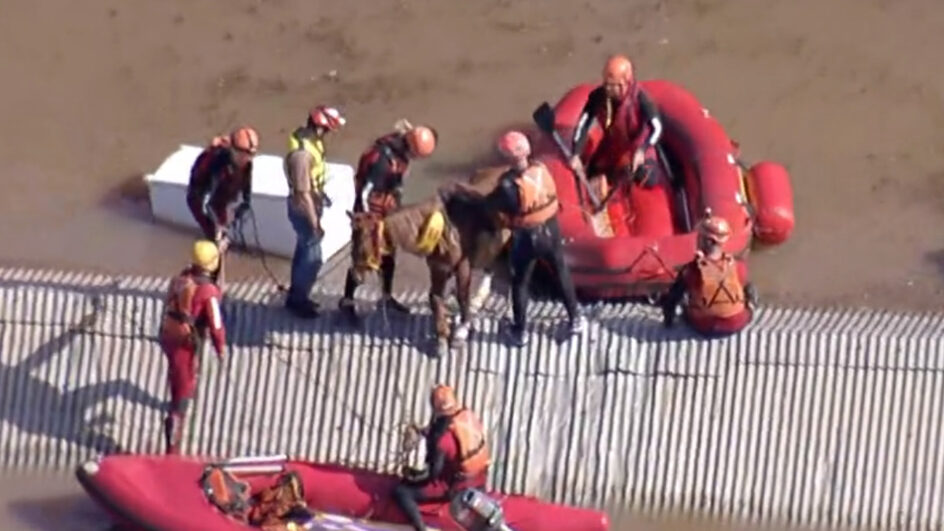 Cavalo que estava ilhado em telhado no RS é resgatado
