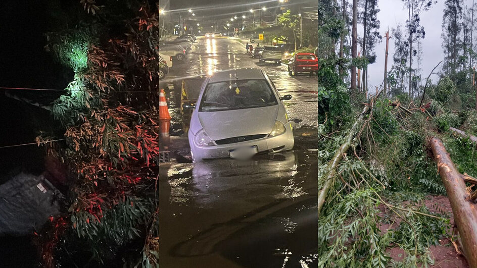Chuva intensa e vento forte derrubam árvores e cratera se abre no Oeste de SC