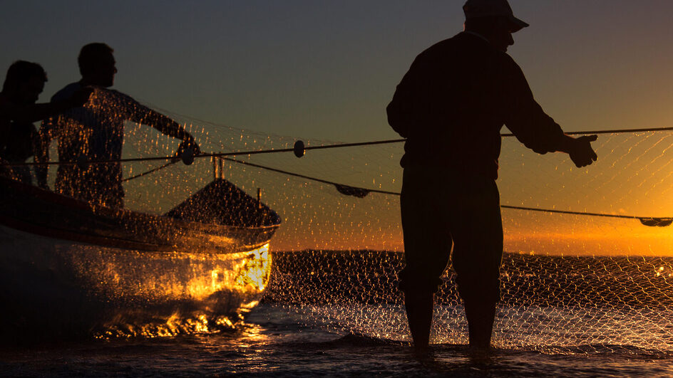 Chuvas extremas no Rio Grande do Sul afetarão safra da tainha em SC, alerta pesquisador