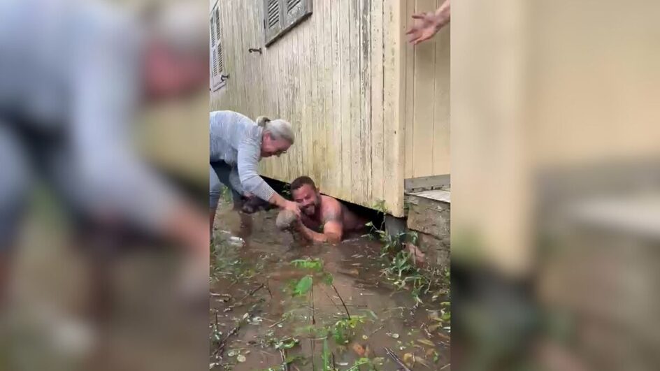 Defesa Civil em resgate de filhotes no Sul de SC
