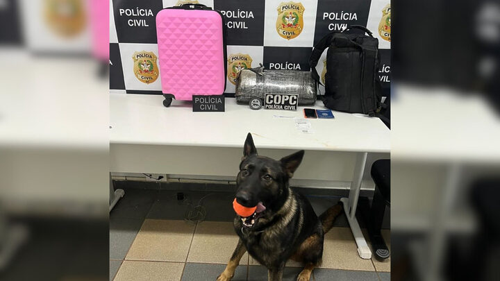 Mais de 4 quilos de maconha são encontrados em mala de adolescente no Oeste de SC