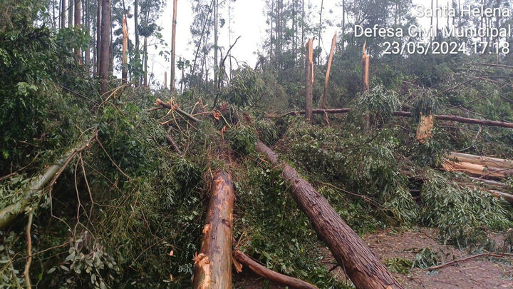 Forte temporal e frente de rajada provocam estragos em cidade do Oeste de SC