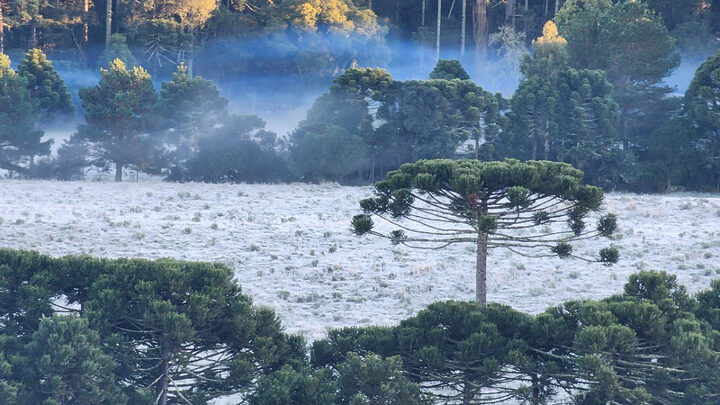 Frio Serra SC (3)