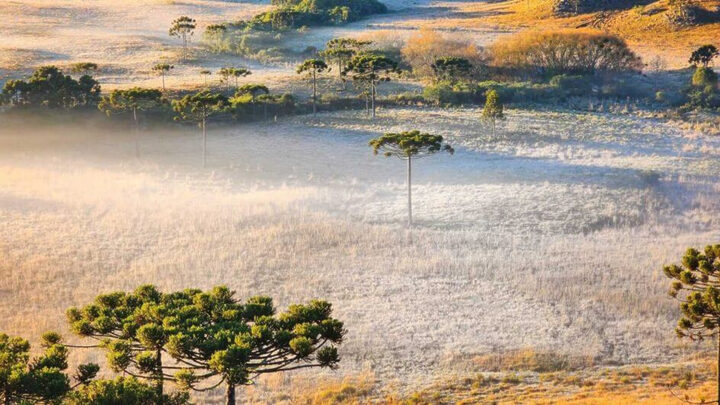 como será o inverno em SC?
