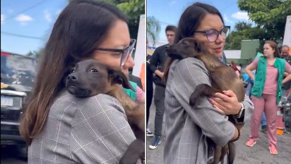 Janja adota cachorrinha resgatada em meio a tragédia de chuvas no RS