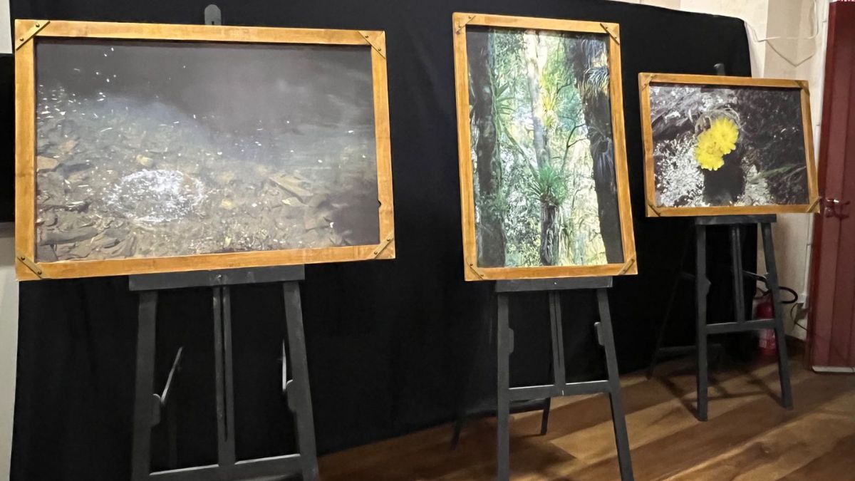 Lages recebe exposição de Carlos Wolff