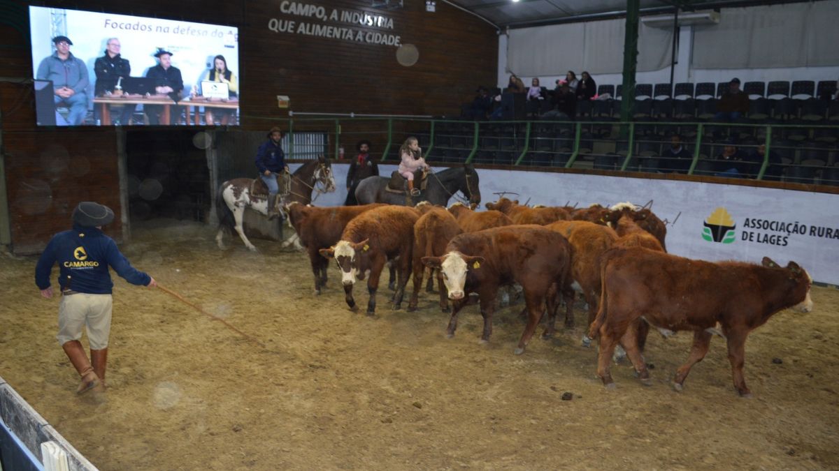 Evento promete movimentar o Parque Conta Dinheiro neste sábado em Lages 