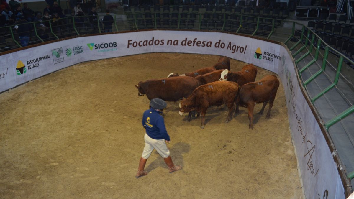 Evento promete movimentar o Parque Conta Dinheiro neste sábado em Lages 