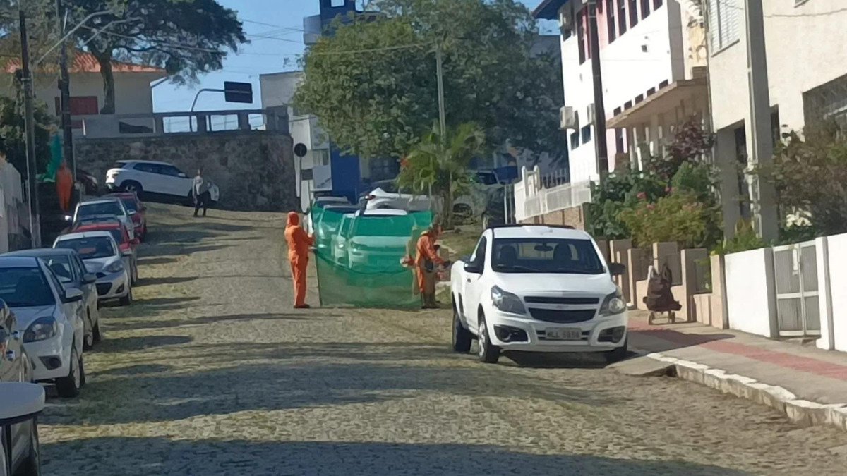 Limpeza para festa do Divino 