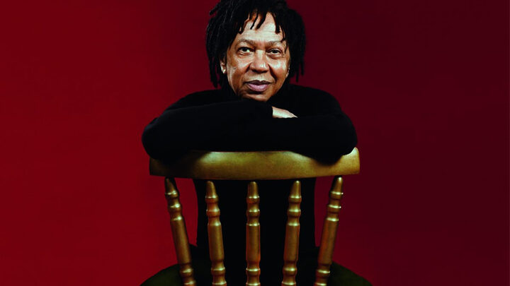 Djavan - Turnê "D" (Foto: Divulgação)