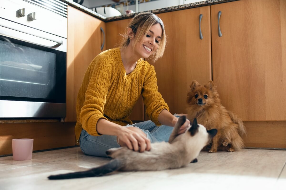 Adotar um animal de estimação exige responsabilidade e consciência (Imagem: Josep Suria | Shutterstock)