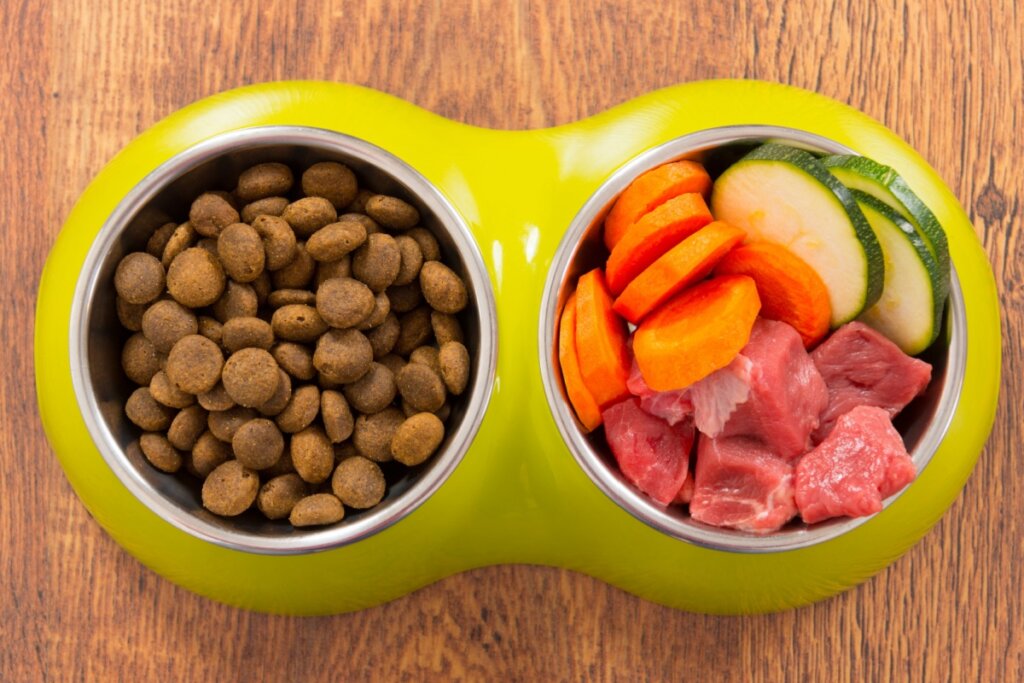 A escolha entre ração e alimentação natural depende de fatores individuais do pet, como idade, porte e estilo de vida (Imagem: Monika Wisniewska | Shutterstock)