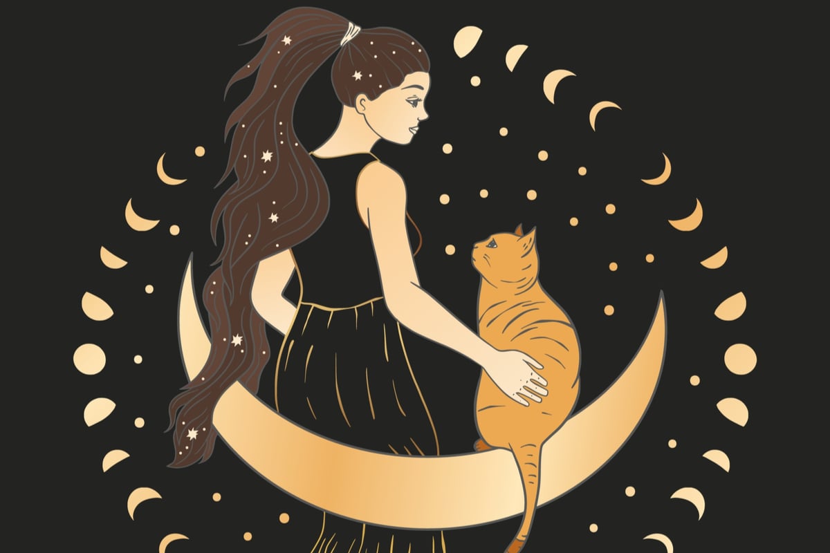 Astrologia também ajuda os tutores a entenderem a personalidade dos gatos (Imagem: Trigubova Irina | Shutterstock)