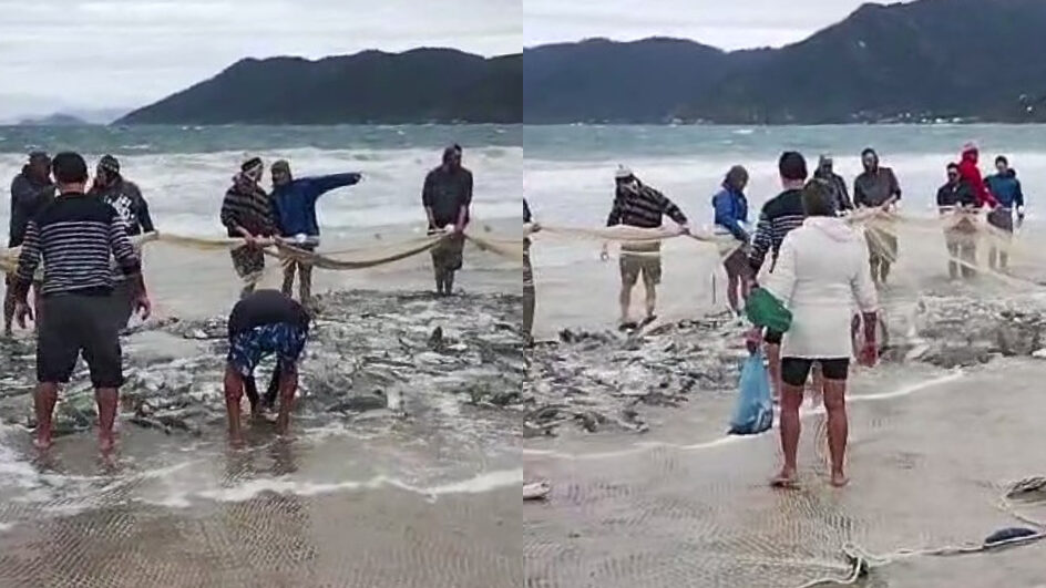 Pesca da Tainha Pântano do Sul