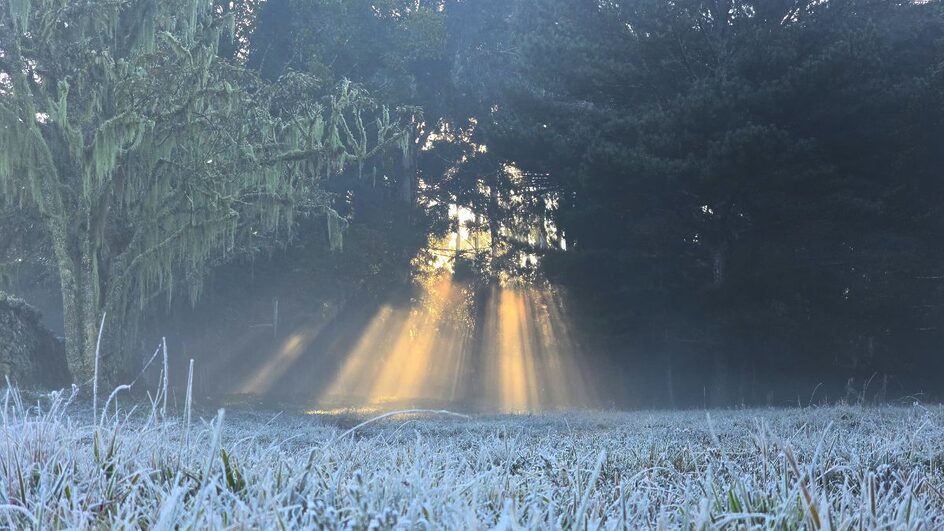 Geadas na Serra catarinense são registradas por fotógrafo de SC.