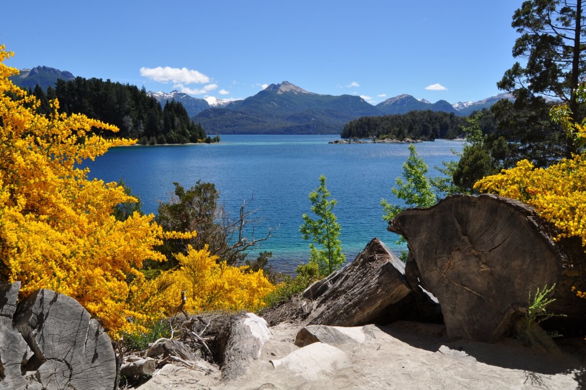 Bariloche encanta com vegetação florida no verão e na primavera (Imagem: Idearium 3.0 | Shutterstock)
