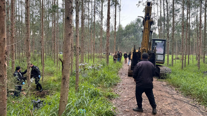 corpos são identificados no sul de sc