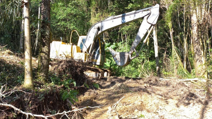 crime ambiental em Alfredo Wagner