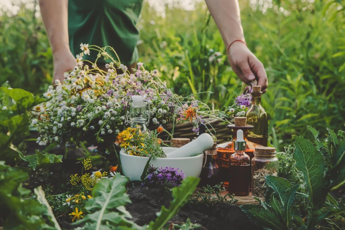 O consumo de ervas medicinais traz diversos benefícios para a saúde (Imagem: Tatevosian Yana | Shutterstock)